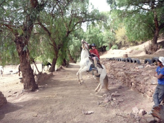 Horseback Riding in Tupiza, Bolivia. Awesome Teen Having Fun With His Favorite Horse