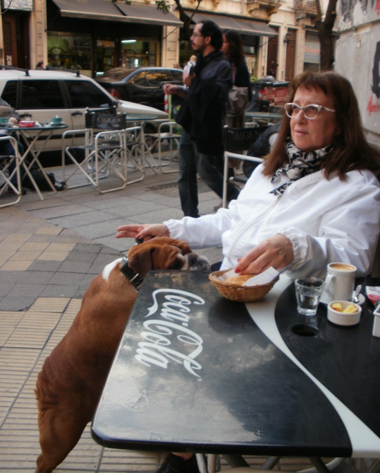 Buenos Aires, Argentina Travel Photo Memories. Lovely Sophisticated Pose From a Kind Lady Willing to Let the Annoying American Tourist Snap a Pic of Her and Her Adorable Bulldog