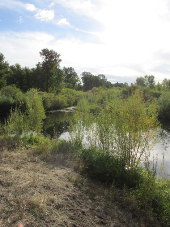 The Best Thing About Montana Are The Men. Great Little Thinking Spot on the Clark Fork River