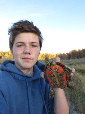 Rescuing A Turtle In Montana