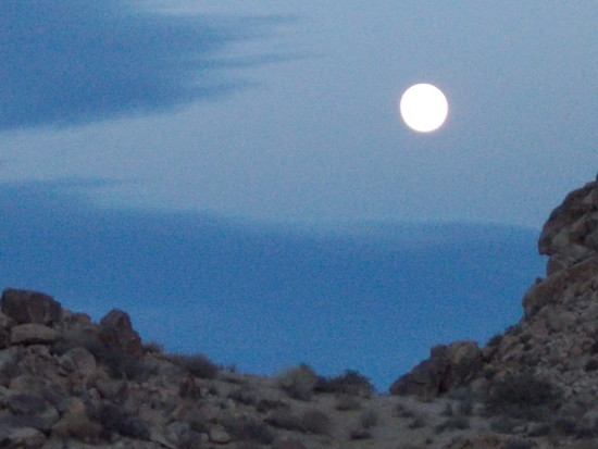 Visiting Joshua Tree National Park