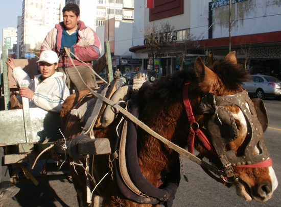 Mar del Plata, Argentina Travel Photo Memories