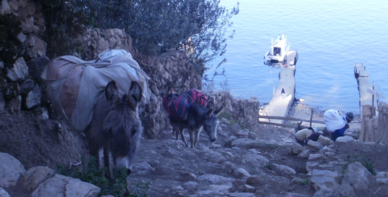 Isla del Sol, Bolivia Travel Photo Memories