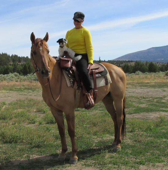 Equestrian With Horse and Constant Furry Companion Heading out for a Ride on Trails at Skull Hollow