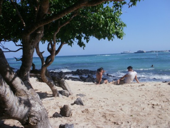 Playa de la Estación on Puerto Ayora, Galapagos Islands