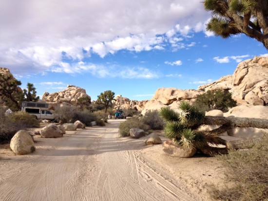 Visiting Joshua Tree National Park